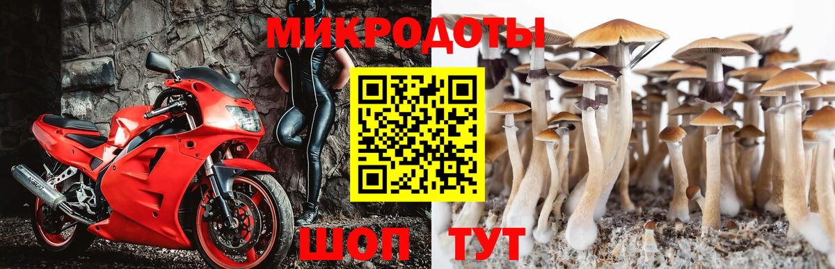 Псилоцибиновые грибы ЛСД Дубна