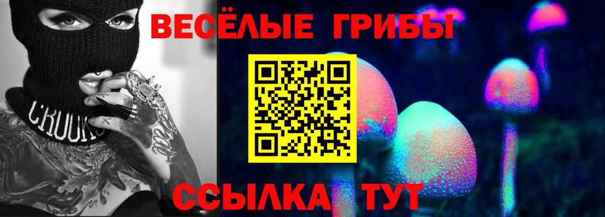 Псилоцибиновые грибы MAGIC MUSHROOMS  купить наркоту  Дубна  Вход с VPN 